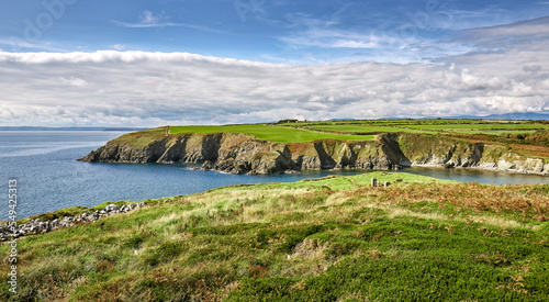 coastline with cliffs at the south coast of Ireland near Annestown, county Waterford, Republic of Ireland
