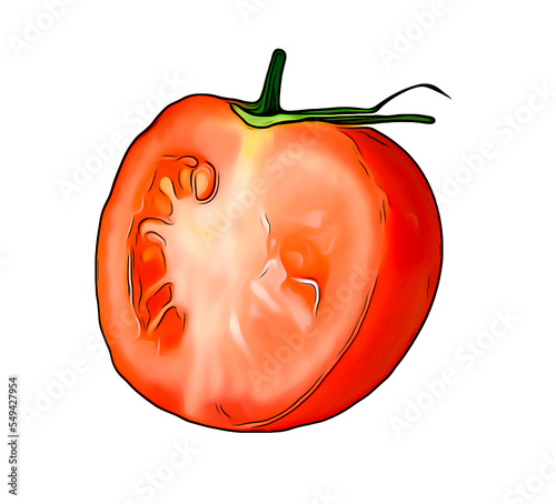 One red tomato cut in half isolated on white background. Half of a tomato turned sideways. Green branch photo