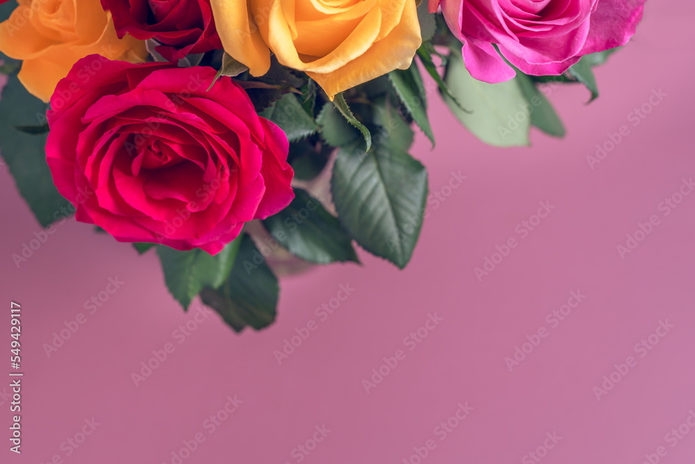 Fototapeta premium Bunch of colorful roses. Beautiful bouquet of roses in variety of colors on dusty pink background with copy space