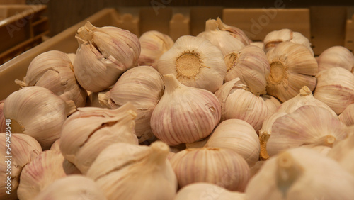 Close-up of many beautiful garlics in a trading basket