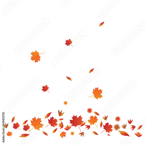 Wallpaper Mural Autumn colors background design. Leaf background design. Autumn sale poster design. November. Hello autumn, autumn leaves, colorful leaves isolated set, autumn elements, autumn banner, poster. Torontodigital.ca