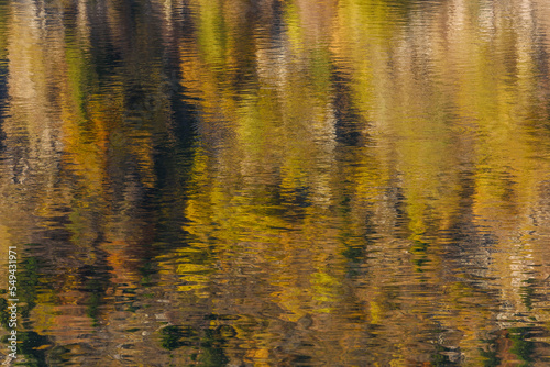 Reflections of trees in mountain lake on beautiful autumn day.