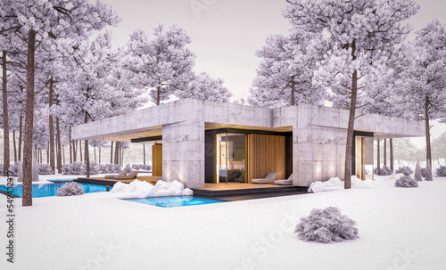 3d rendering of new concrete house in modern style with pool and parking for sale or rent and beautiful landscaping on background. One floor house. Cool winter evening with cozy light from windows © korisbo
