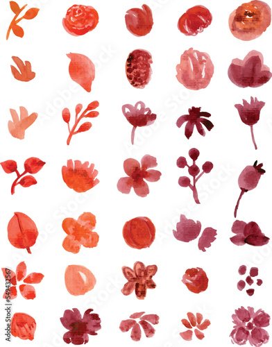 Set of watercolor floral elements isolated on white background. Loose watercolor technique.