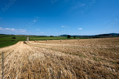 The wheat harvest is over