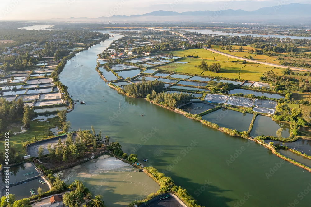 Fototapeta premium Aerial view of the Shrimp ( Prawn ) farm with aerator pump in Tam Ky, Quang Nam, Vietnam. The growing aquacuture business continuously for export to China, Korea, Japan, Americ