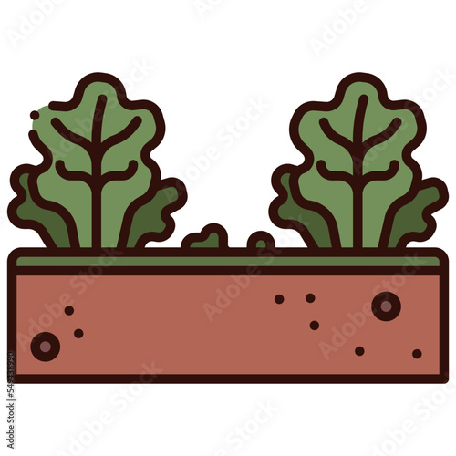 lettuce crops illustration
