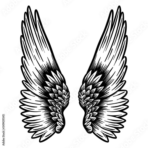 Angel wings with feathers - hand drawn - vector illustration - Out line