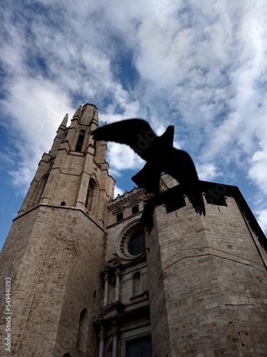Pigeon flying in front of Cathedral of Girona Catalonia Spain photo