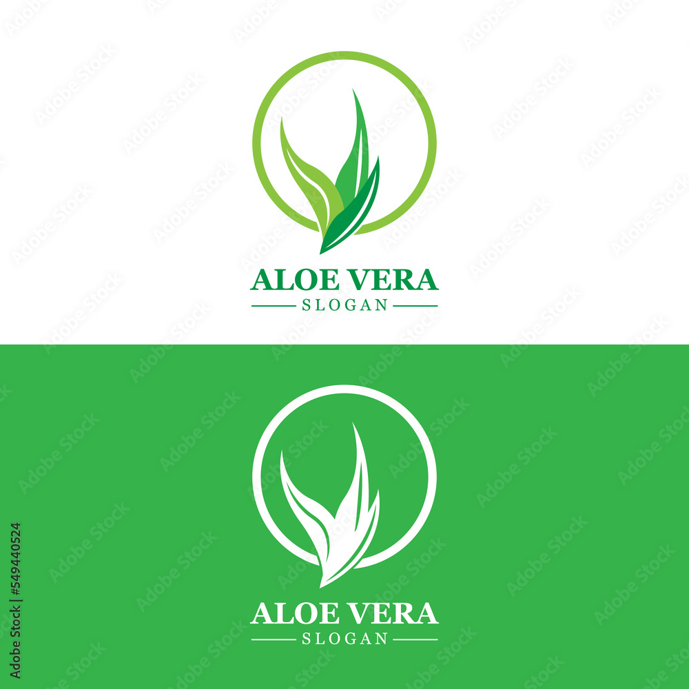 Obraz premium Aloe Vera Logo, Health Leaf Vector, Design Suitable For Beauty Salon, Organic Recycling, Skin Health Leaf