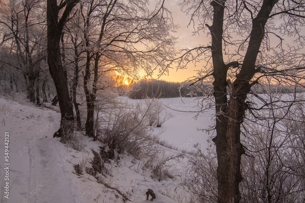 winter sunset in the park