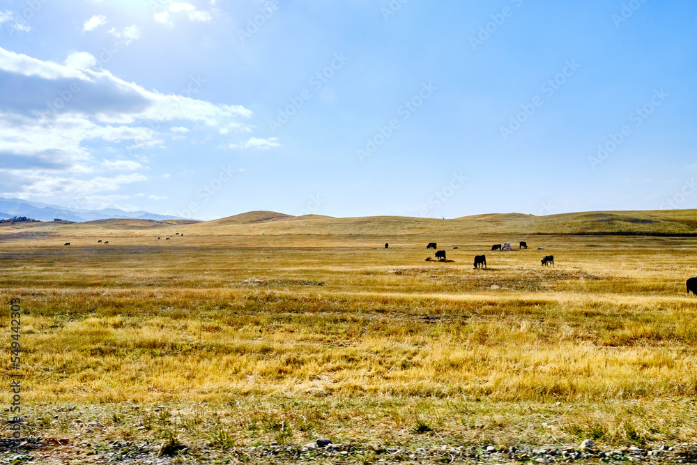 Obraz premium Kasachstan - Sharyn Cayon