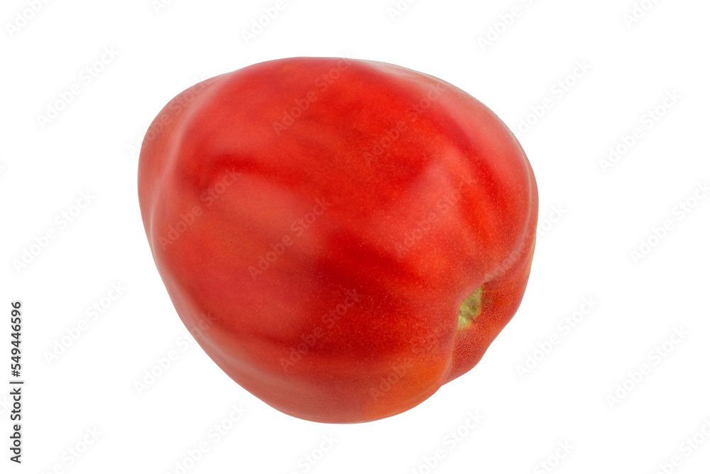 red round tomatoes on a branch, isolate on a white background red round tomatoes on a branch, isolate on a white background