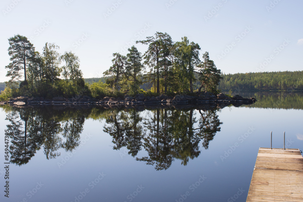 Obraz premium lake and forest