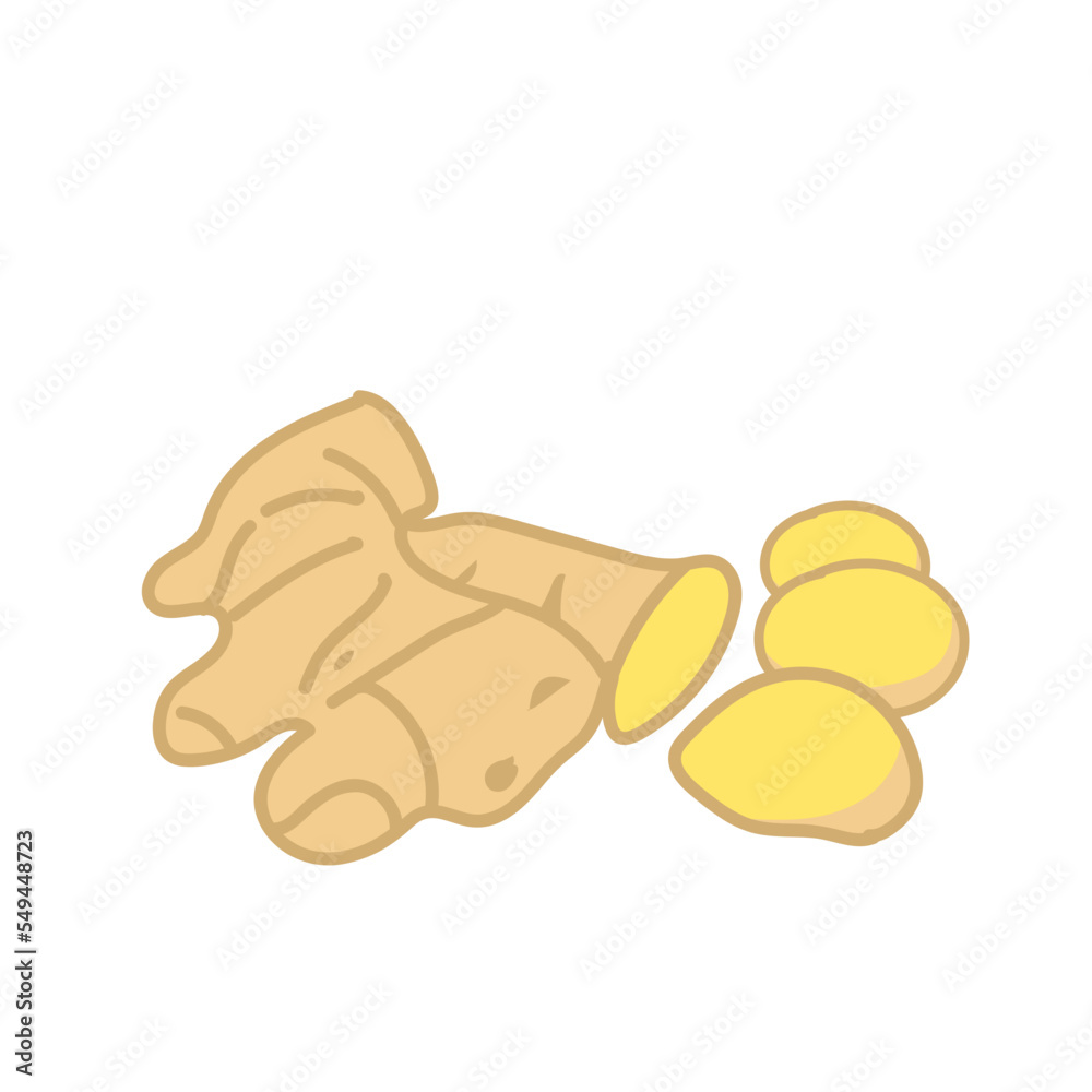 ginger spice herb hand drawn ginger spice herb hand drawn