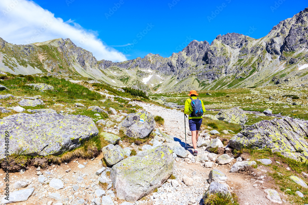 Woman tourist hiking in Hinczowa valley on sunny summer day, High Tatra Mountains, Slovakia