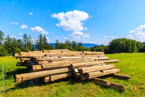 Fototapeta Naklejka Na Ścianę i Meble -  Wood logs on green meadow in summer, Beskidy Mountains near Zywiec, Poland