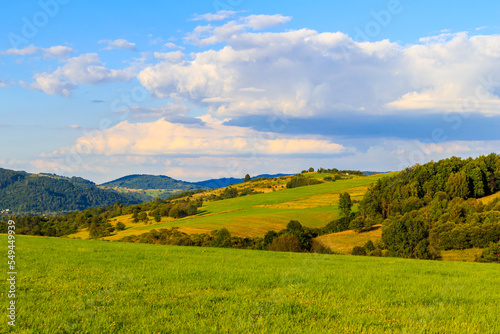 Fototapeta Naklejka Na Ścianę i Meble -  Green hills of Beskidy Mountains at sunset near Zywiec , Poland