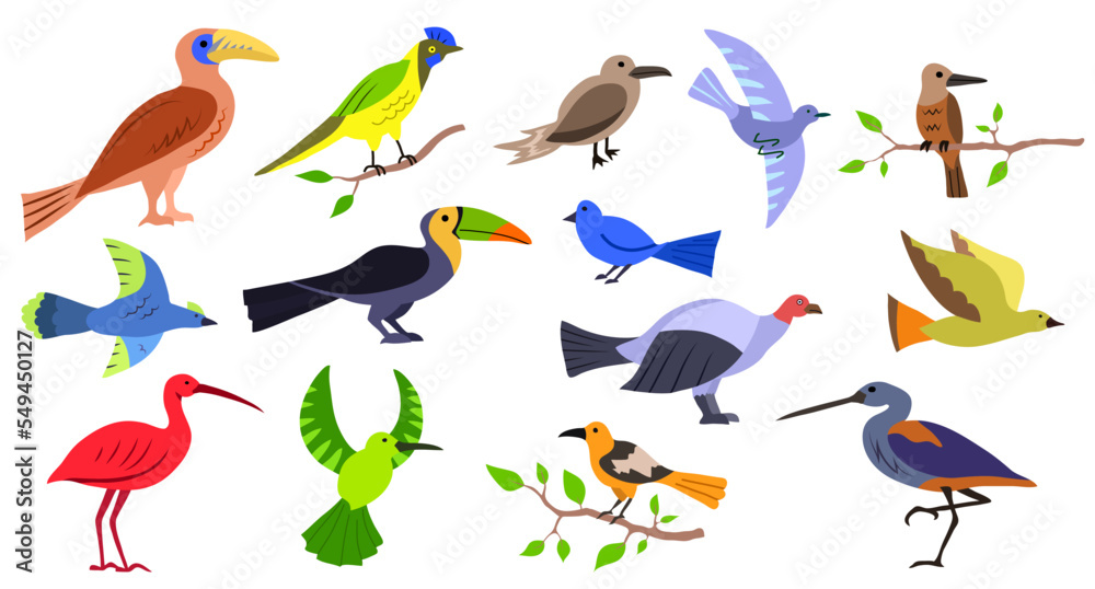 Set of exotic birds in abstract style. Wild winged colorful creatures. Vector illustration isolated on white background. Fauna and wildlife for decor, animals of the sky and flight