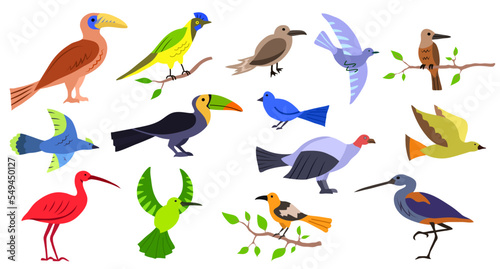 Set of exotic birds in abstract style. Wild winged colorful creatures. Vector illustration isolated on white background. Fauna and wildlife for decor, animals of the sky and flight
