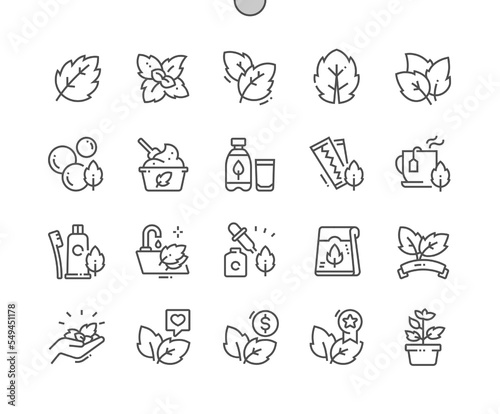 Mint leaves. Natural herbal. Food shop, supermarket. Menu for cafe. Mint toothpaste. Pixel Perfect Vector Thin Line Icons. Simple Minimal Pictogram