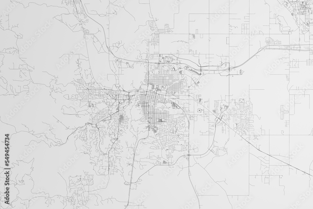 Map of the streets of Rapid City (South Dakota, USA) on white background. 3d render, illustration