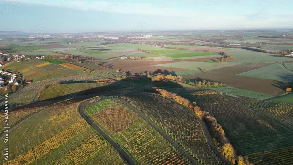 Luftaufnahme der herbstlichen Weinberge bei Öhringen