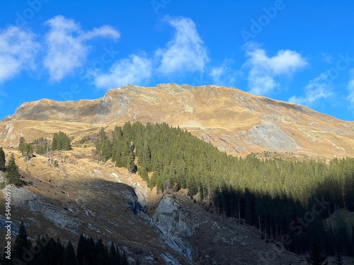 High coniferous forests and autumn alpine pastures on the mountain tops above the Calfeisental valley (UNESCO World Heritage Tectonic Arena Sardona), Vättis - Switzerland (Schweiz) photo