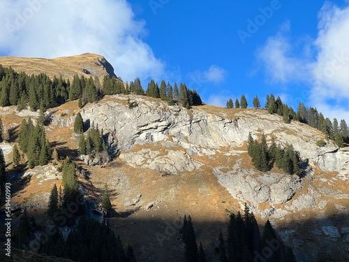 High coniferous forests and autumn alpine pastures on the mountain tops above the Calfeisental valley (UNESCO World Heritage Tectonic Arena Sardona), Vättis - Switzerland (Schweiz) photo