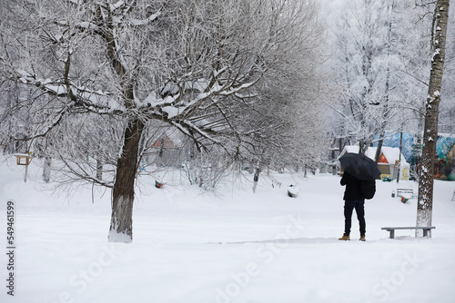 Winter walk with an umbrella.Man in a coat with an umbrella, walk against the backdrop of the winter landscape, winter view © alexkich