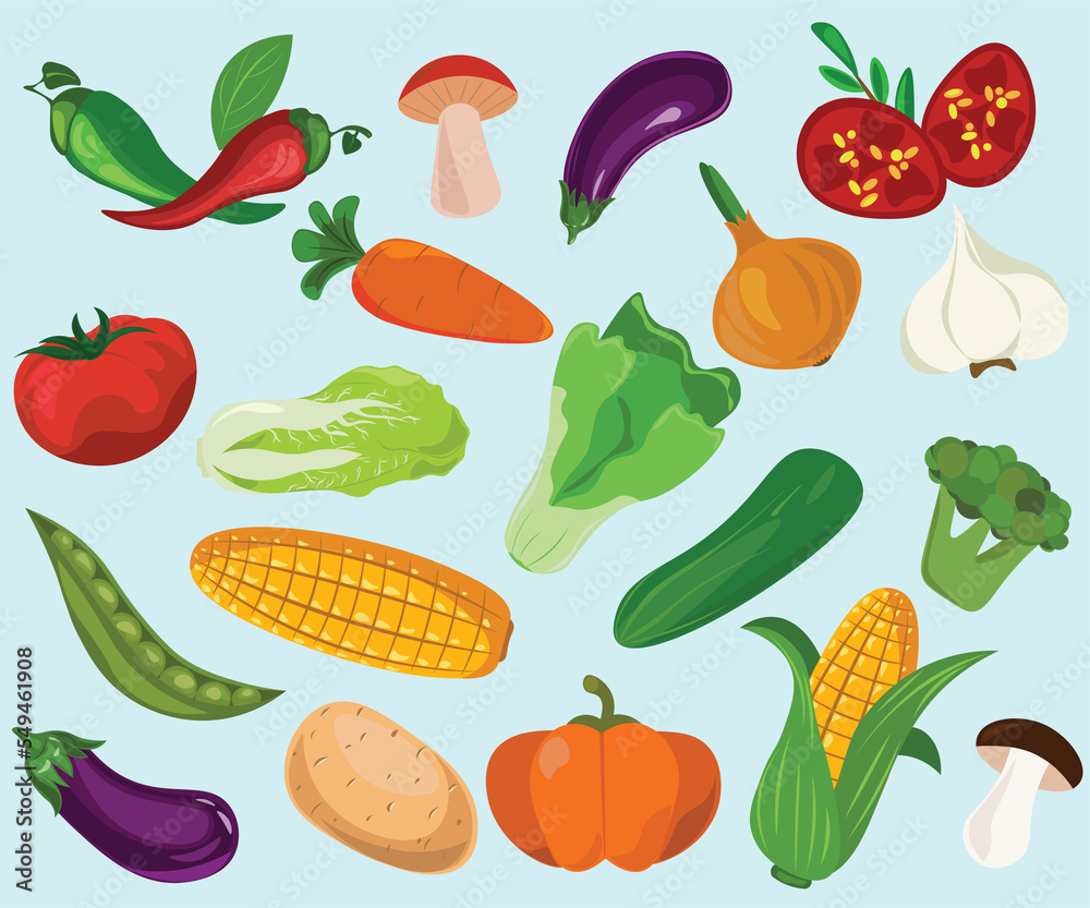 collection of vegetables collection of vegetables
