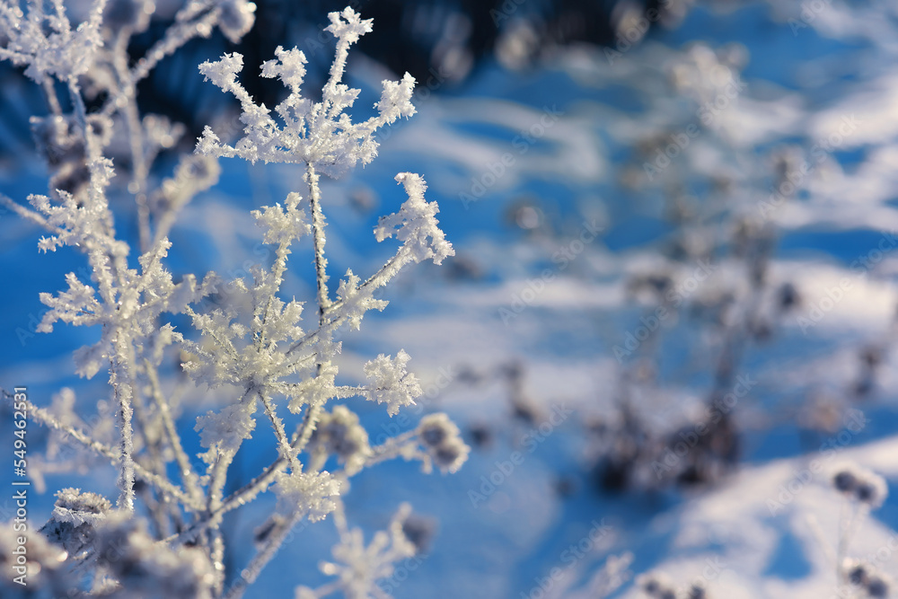 Winter landscape. Trees and plants covered with snow. The beauty of snow covered paths. Snowfall and cooling in tourist areas. Winter landscape. Trees and plants covered with snow. The beauty of snow covered paths. Snowfall and cooling in tourist areas.