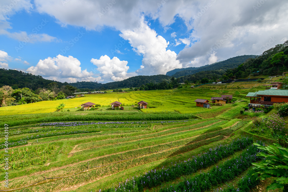 Scenery of rice terraces with homestay at Mae Klang Luang village