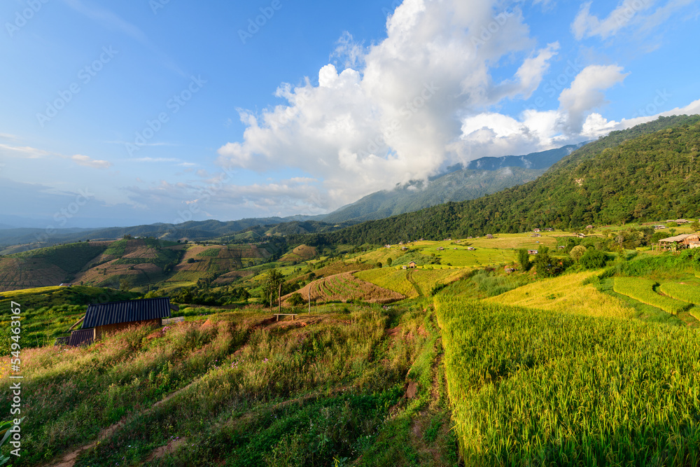 Landscape of Pa Pong Piang Rice Terraces with homestay on mountain,