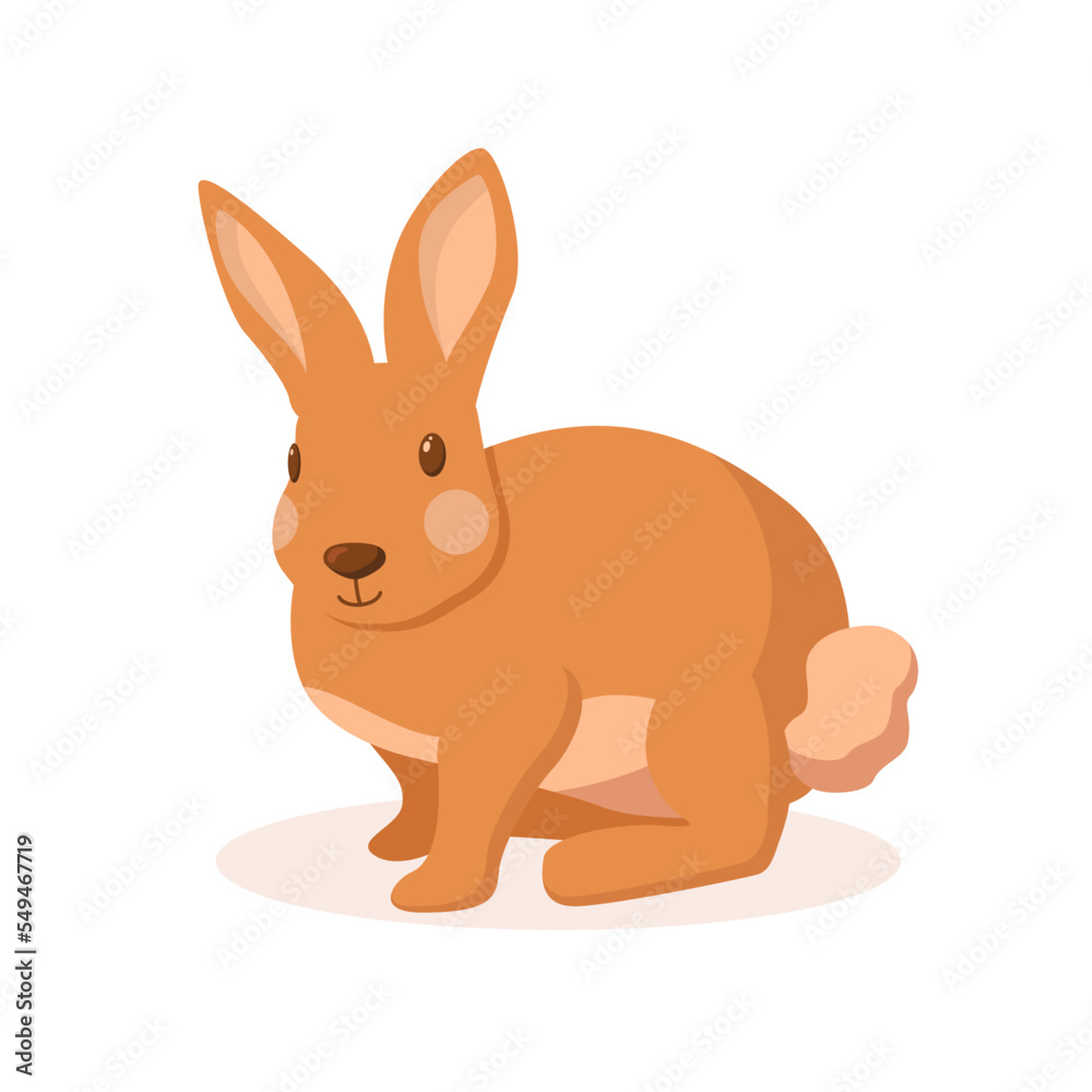 Cute little rabbit sitting. Nice bunny Cute little rabbit sitting. Nice bunny
