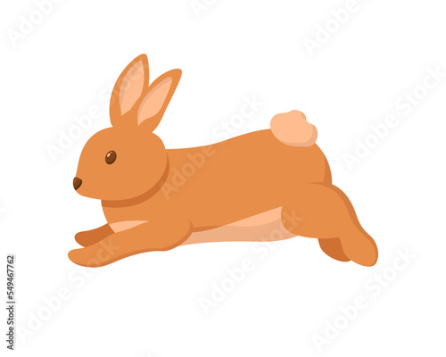 Cute little bunny jumping. Rabbit
