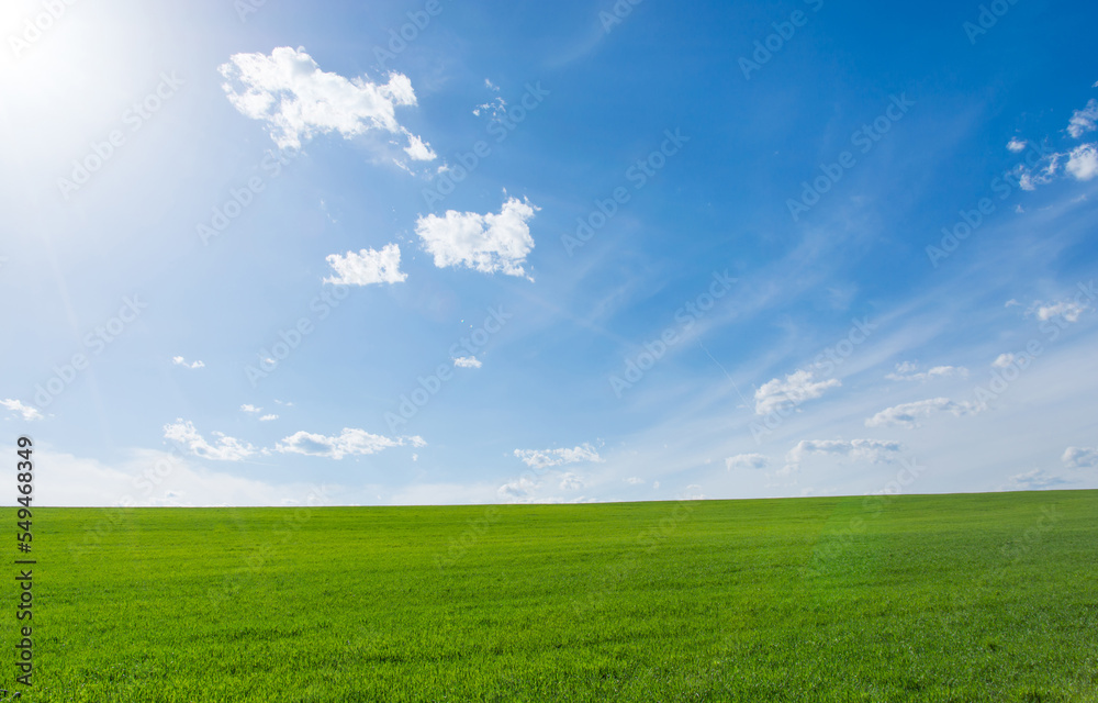 Empty clean grassy field and blue sky at sunny day Empty clean grassy field and blue sky at sunny day