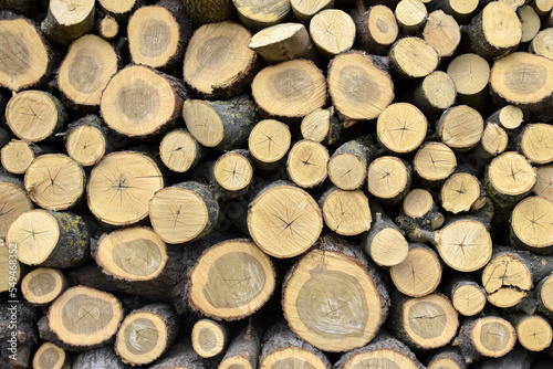 Sawn wood is stacked in woodpile. Wall of old wooden logs with cracked ends. Beautiful pattern of annual rings on the cut of tree. Background. Selective focus.
