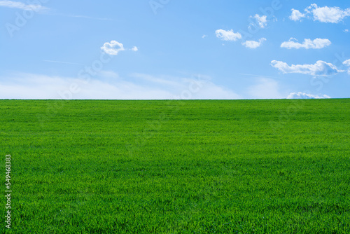 Empty clean grassy field and blue sky at sunny day