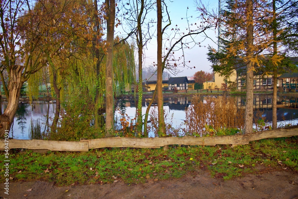Duck lake in autumn