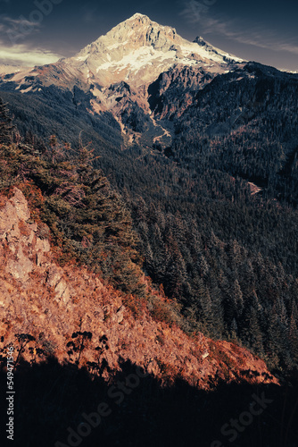 Fototapeta Naklejka Na Ścianę i Meble -  Landscape of Mt Hood
