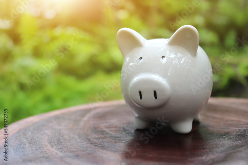 Piggy bank on floor concept for saving with bokeh outdoor green nature background. photo