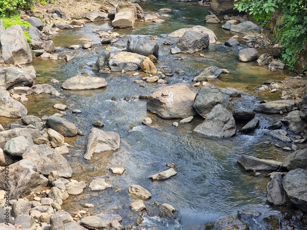 Obraz premium small river in the forest in kerala, India. 