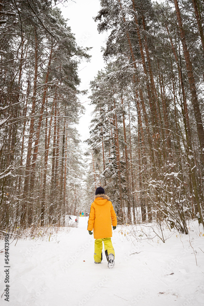 Back view of a child walking in a snowy forest on a frosty winter day. Great holiday weekend in nature. Winter and lifestyle concept