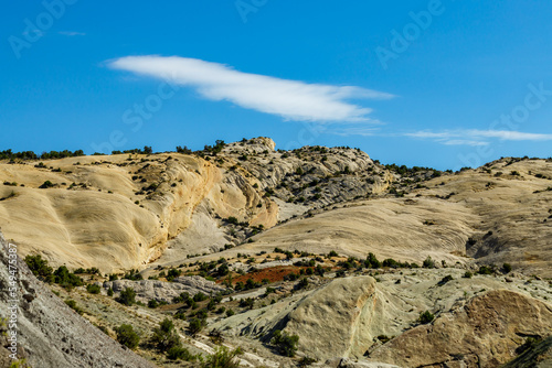 rocky hill with small shrubs in the Utah desert