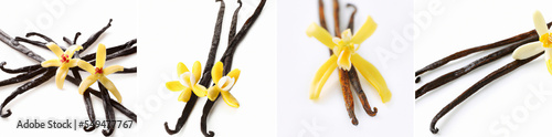A series of four images of vanilla flower on a white background