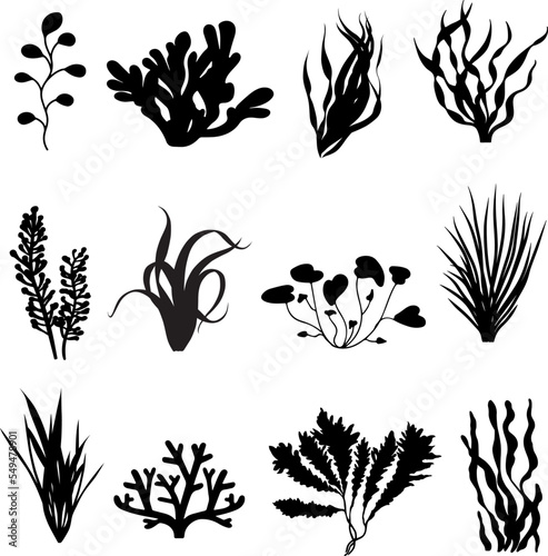 seaweed silhouette clip art