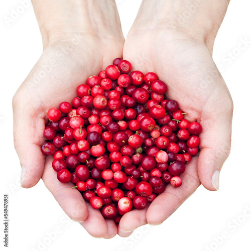 Woman hands holding fresh red berries
