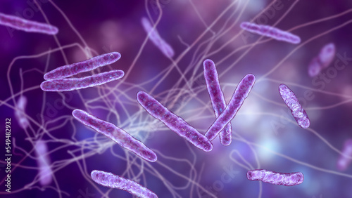 Fotografija Bacteria Mycobacterium bovis, illustration