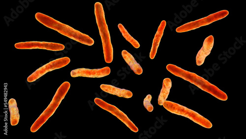 Bacteria Mycobacterium bovis, illustration photo